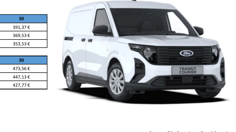 Renting Ford Transit Courier Van