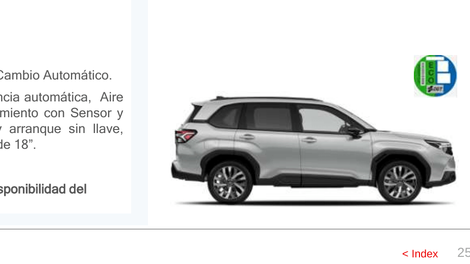 Renting Subaru Forester