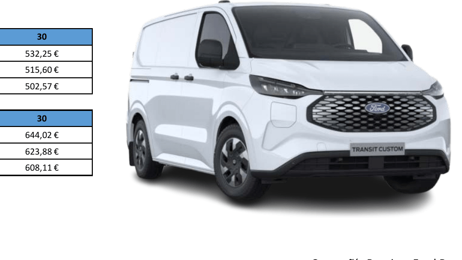 Renting Ford Transit Custom Van